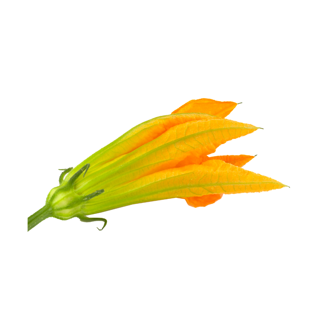 Progetto senza titolo (32)